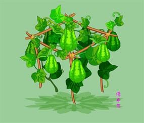 绿色植物佛手瓜flash动画